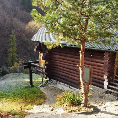 Bungalow In Mauntains With Chan Near The Forest Slavskoje Eksteriør bilde